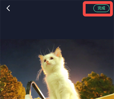 �������ּ���