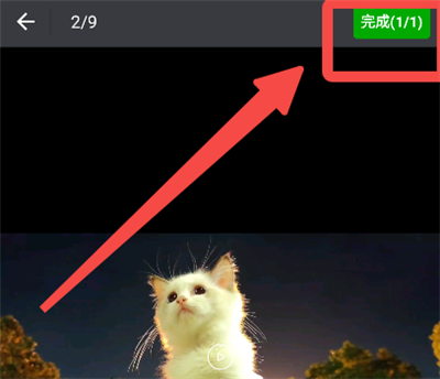 �������ּ���