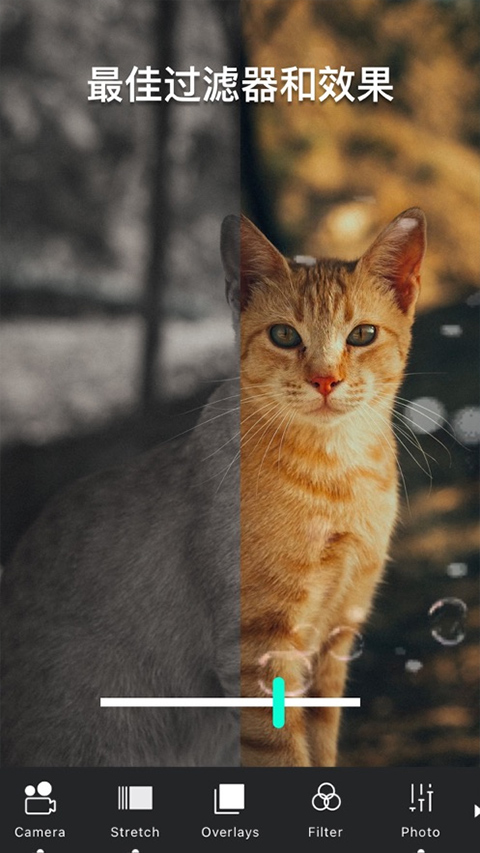 VIMAGE���İ�����v5.1.11 ���°�