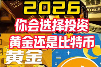2026��ѡ��Ͷ�ʱ��رһ��ǻƽ� ��ͨ�û���ô���ø���ȫ