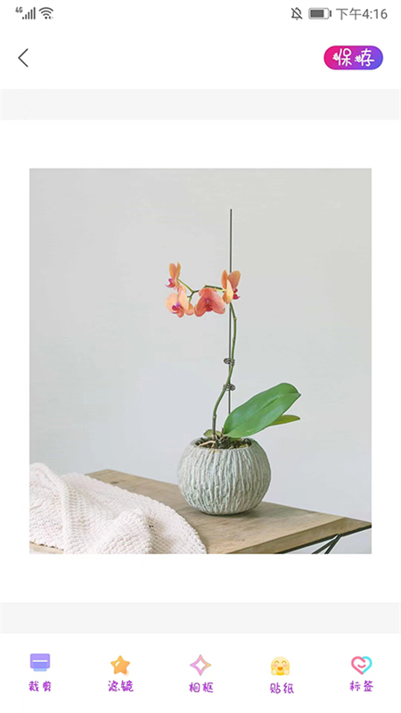 promovieרҵ������������ؽ�ͼ