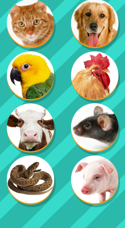 pettranslator�������Է���������������ؽ�ͼ