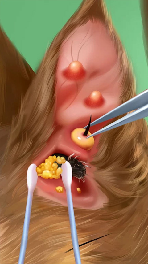 ���ҽԺ�ֻ�������(Happy ASMR Hospital)v1.0.142 ��Ѱ�