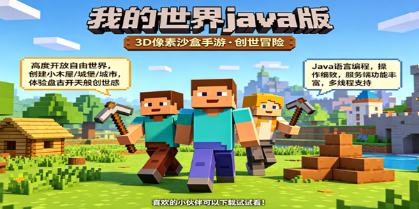 �ҵ�����java��