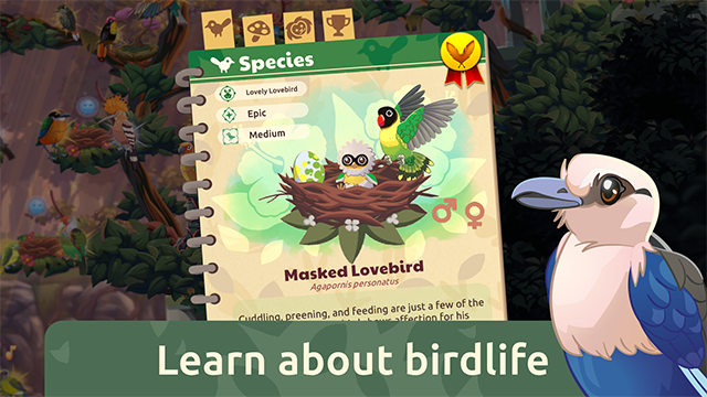 ����������Ϸ���°�����(Bird Kind��װ��)v1.58 ��׿��