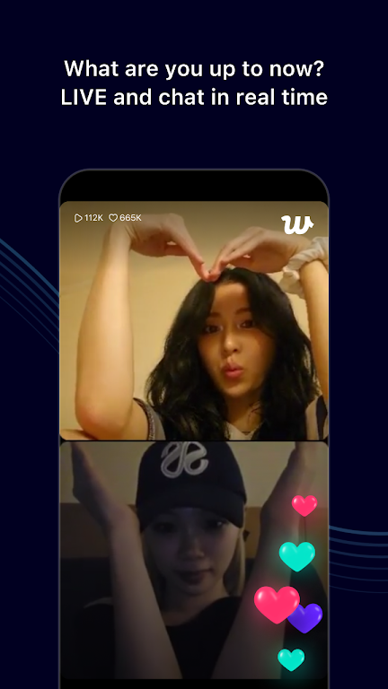 wvs�ٷ��������°��ɫ��v3.13.1 ��׿��