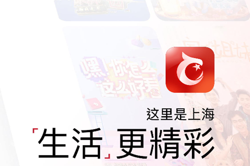 ������app���°汾����