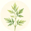Ұ���ռ�app���°�����v1.0.0 ��׿��