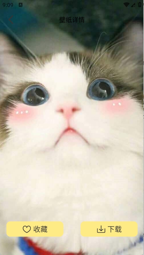 �Ⱦޱ�ֽ�ٷ�����v1.1 ��׿��