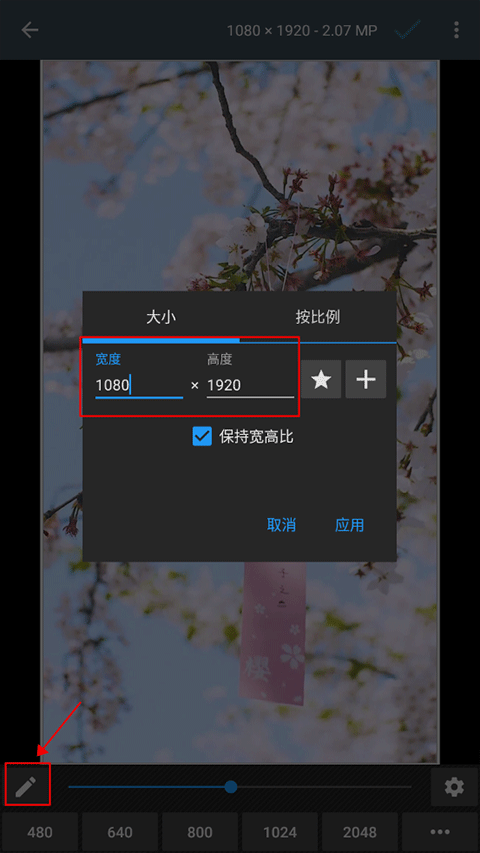 Photo Editor