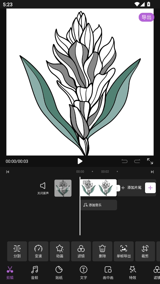 Tibni外国快手下载安装截图