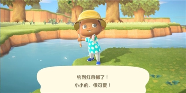 �����ɭ�ѻ�ٷ�����(Pocket Camp C)v7.1.1 ���°�