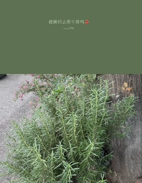photocolors��׿���������°汾v1.0.7 �ٷ���