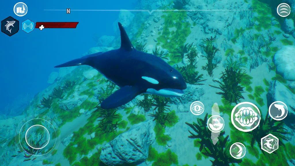 ʳ�����ֻ�����Ϸ���İ�����(Maneater)v1.4.2 ��׿��