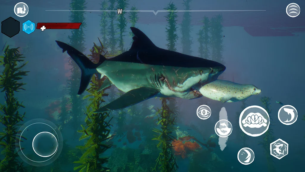 ʳ�����ֻ�����Ϸ���İ�����(Maneater)v1.4.2 ��׿��