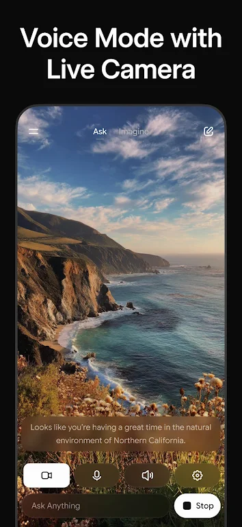 grok4.1��Ѱ�װ������v1.1.64-release.00 ���İ�