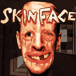 ����skinface�ٷ�����v10.1 ���°�