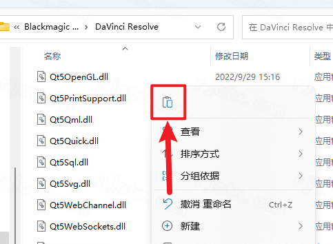 �����DaVinci Resolve Studio���԰�����
