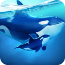 ССˮ������������(World of Water)v4.54.1 �ٷ���