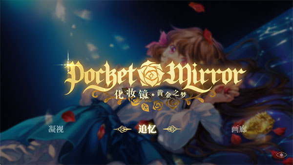 ��ױ���ƽ�֮���ֻ�������(Pocket Mirror)v1.0.1 ��׿��