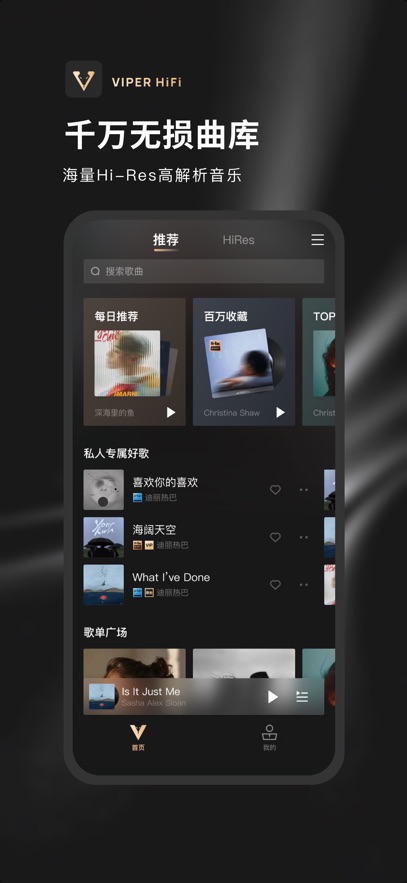 VIPER HiFi�ٷ�������v4.3.7 ��׿��