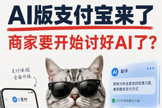 AI��֧������ô�� AI��֧�������������Ļ�ȡ