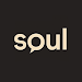 DigitalSoul AI�ٷ��������ذ�װv1.1.3 ��׿��