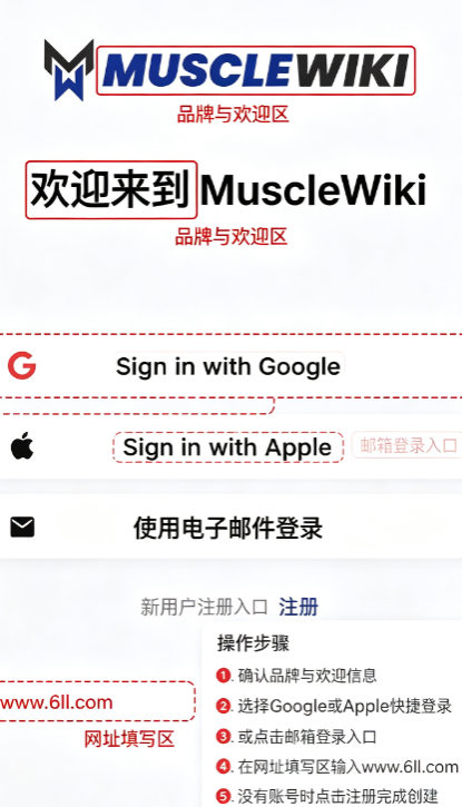 musclewiki�ٷ����İ����ذ�װ