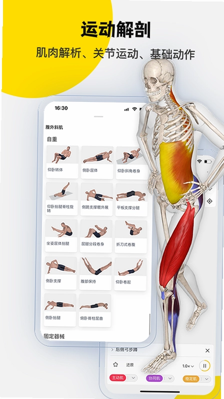 3DBody���ʹٷ��������v8.9.30 ��׿��