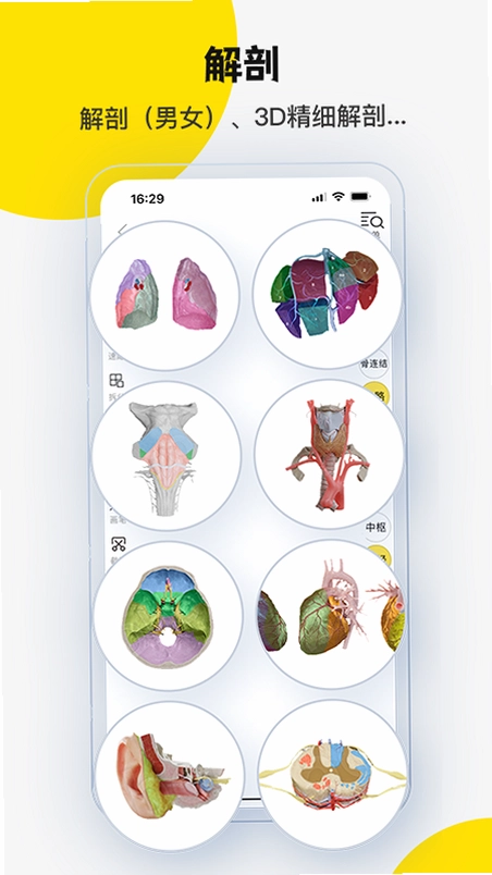 3DBody���ʹٷ��������v8.9.30 ��׿��