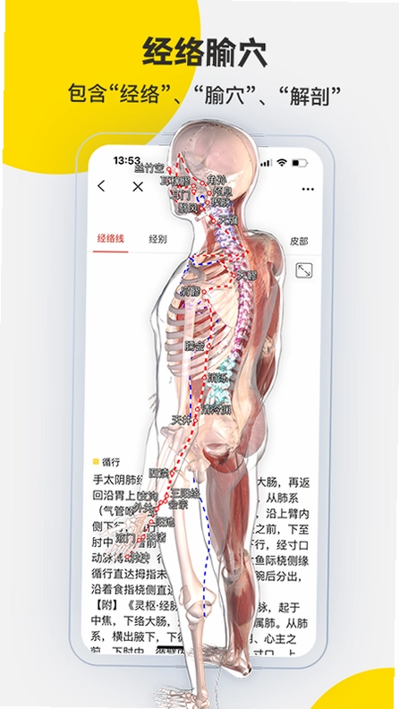 3DBody���ʹٷ��������v8.9.30 ��׿��