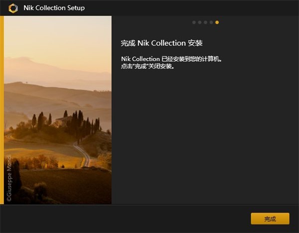 Nik Collection���İ����ؽ�ͼ