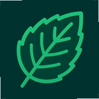 �ҵ�����Menthol���������°汾����v1.0 ��׿��