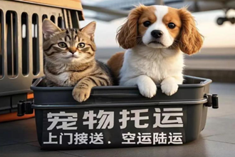 顺丰宠物托运app叫什么 顺丰宠物托运下载哪个app