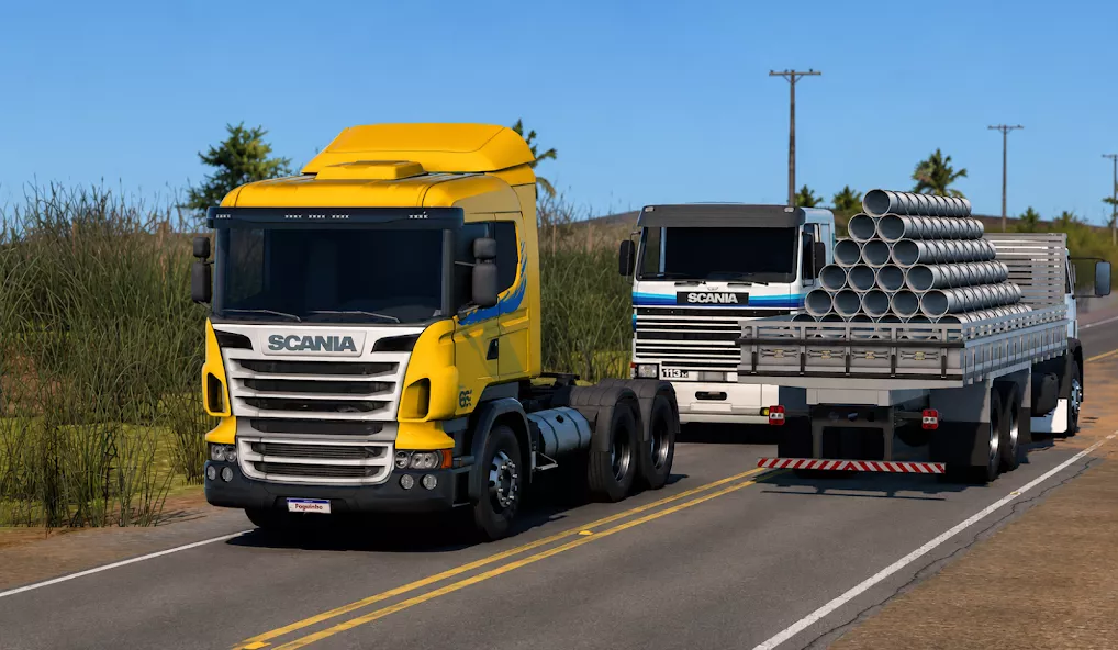 ��������˾��������Ϸ���İ�����(Truckers Brasil Online)v0.2.91 ���°�