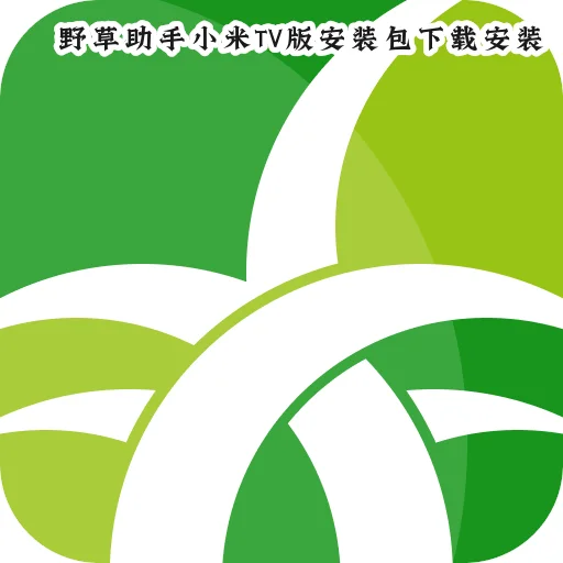 Ұ������С��TV�氲װ�����ذ�װv2.0.15 ���Ӱ�