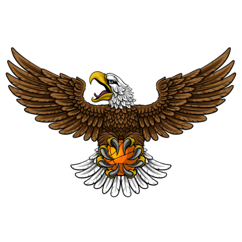 ��ӥTV��app���°�����v8.7 ��׿��