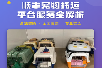 顺丰宠物托运需要提供什么 顺丰宠物托运在哪下单