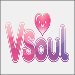 vsoul������������v4.0.4 �ֻ���