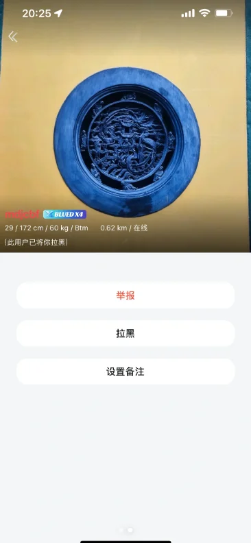 u蓝正太主打仙气安装包(Blued)下载截图