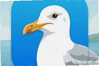 ��Ÿ����app��׿����ô���أ���Ÿ����app��׿�����ذ�װ�̳�