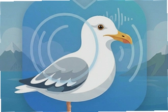 ��Ÿ��ȫ��������app��ô�ã���Ÿ��ȫ��������app����ʹ�ý̳�