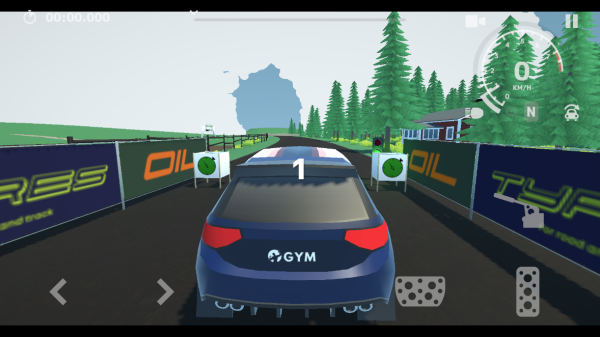 N3�������ֻ�������(N3Rally)