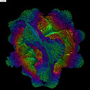 volumeshaderbm�����ֻ�������v1.0 ��Ѱ�