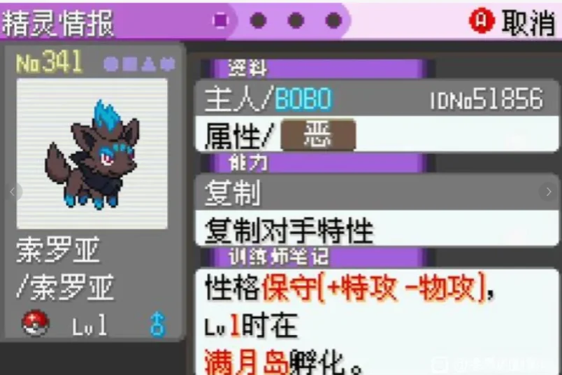 �ڴ�������ڵ���Ӱ5.0ex bw���ý���ָ������v5.0 �ֻ���