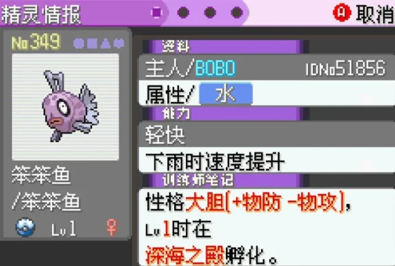 �ڴ�������ڵ���Ӱ5.0ex bw���ý���ָ������v5.0 �ֻ���