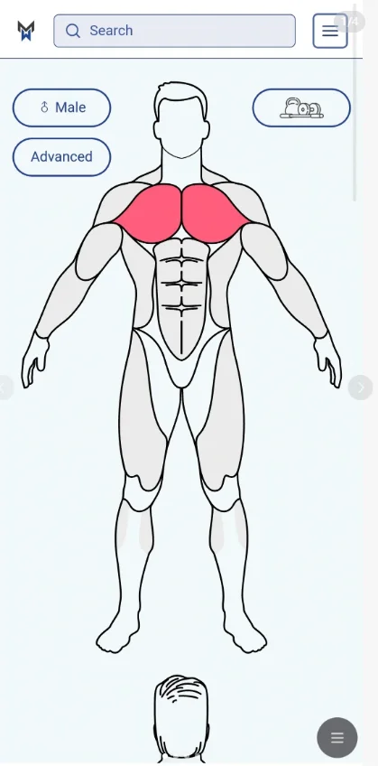 musclewiki�ٷ����İ�app���ذ�װv3.2.2 ���°�