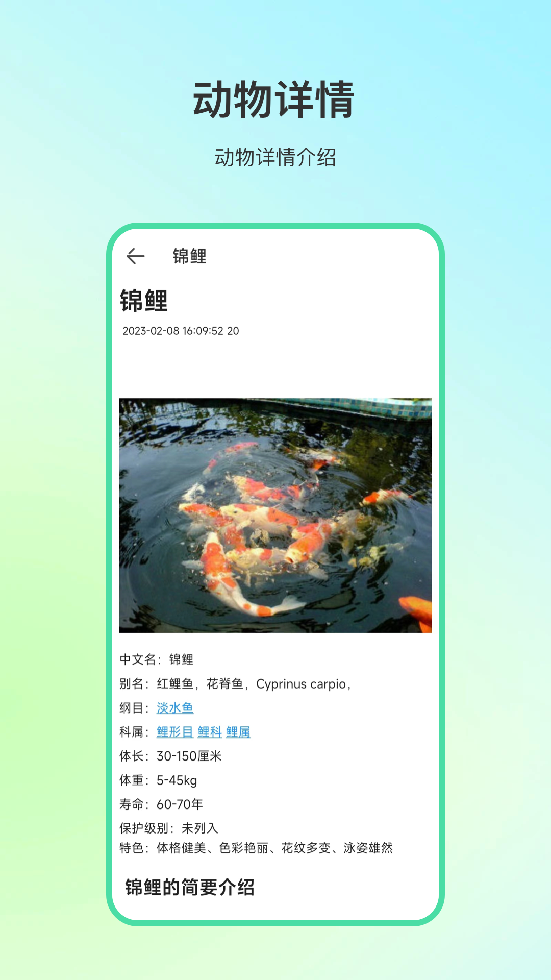 ����ٿƹٷ������ֻ���v4.1.7 ��׿��