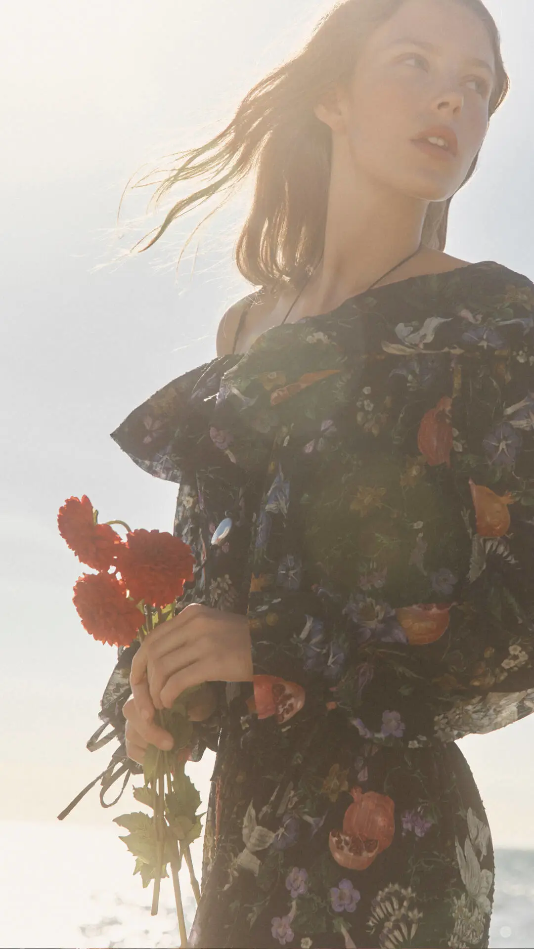 fabrique�ٷ�����app��ͼ