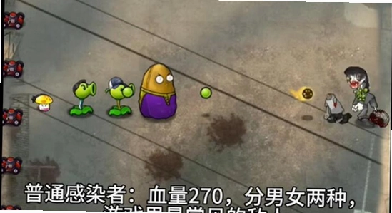 ֲ���ս��ʬ����֮·��PD4��װ�̳̽�ͼ